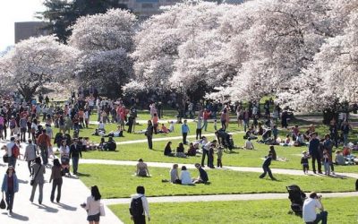 What Universities Can Learn from Israel’s Status on Campus